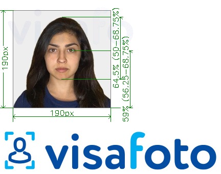 Esimerkkikuva Intia Visa 190x190 px kautta VFSglobal.com, joka täyttää tarkat kokovaatimukset
