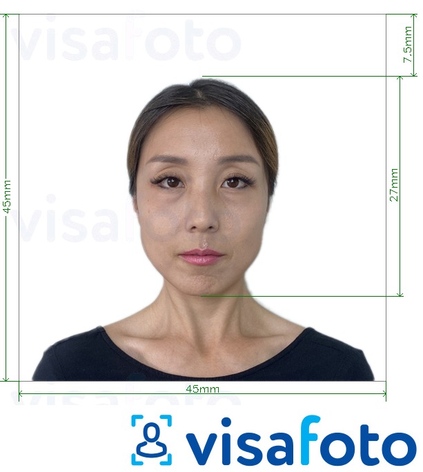Esimerkkikuva Japani Visa 45x45mm, pää 27 mm, joka täyttää tarkat kokovaatimukset