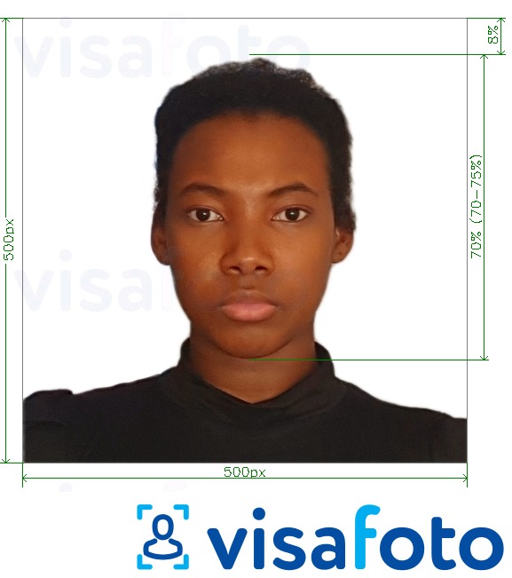 Esimerkkikuva Kenian sähköinen viisumi verkossa 500x500 pikseliä, joka täyttää tarkat kokovaatimukset