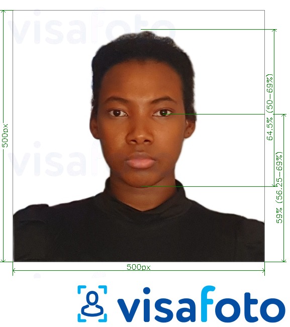 Esimerkkikuva Ruanda Itä-Afrikka Tourist Visa verkossa, joka täyttää tarkat kokovaatimukset